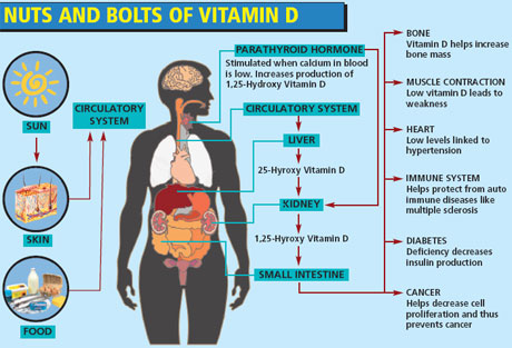 vitamin-D3